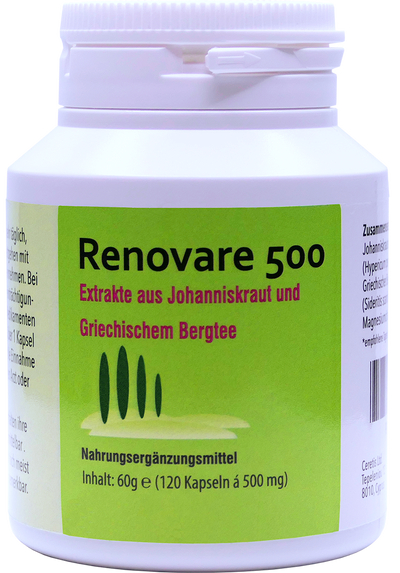 Renovare 500