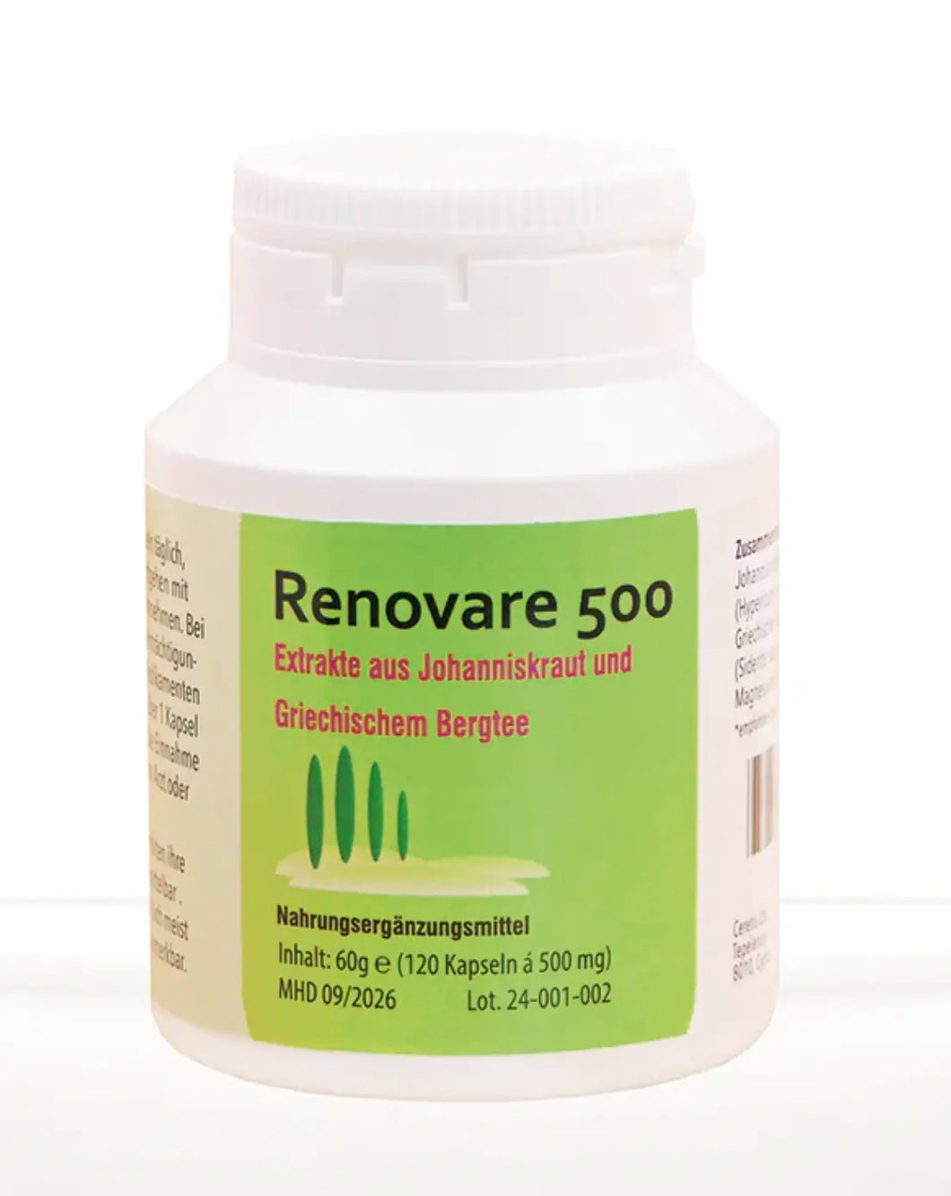 Renovare 500